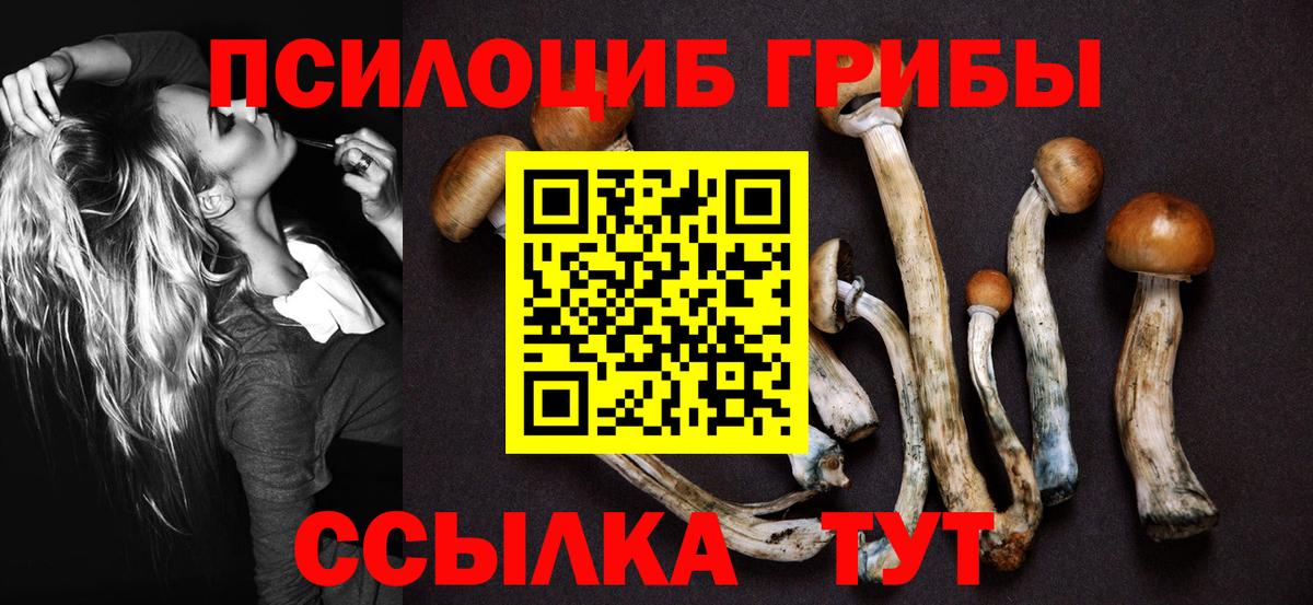 Псилоцибиновые грибы GOLDEN TEACHER Омск